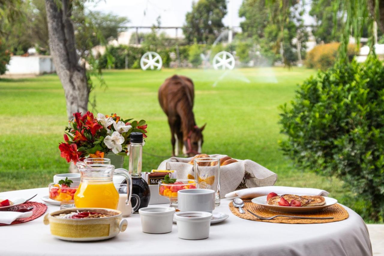 Monteverde Boutique Hotel Pacasmayo Zewnętrze zdjęcie